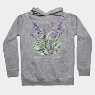 Wild Lavender Hoodie